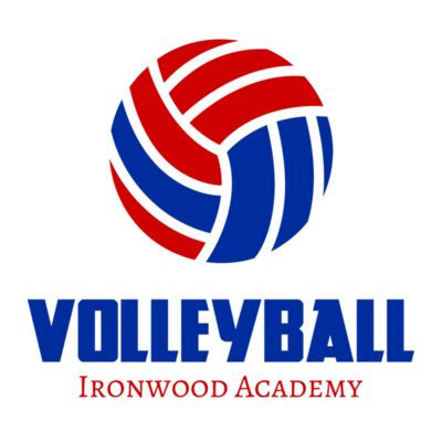 Volleyball 42 Miniatura