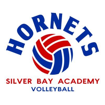 Volleyball 61 Miniatura