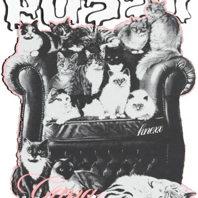 pussy 49x39png Miniatura