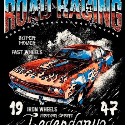 CARRO ROAD RACING 49 X 39 Miniatura